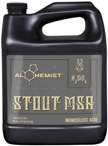 Alchemist Stout MSA Gallon