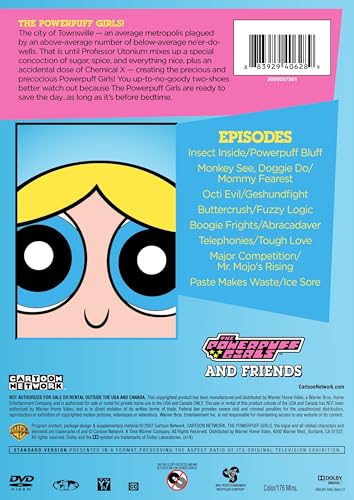 Powerpuff Girls & Friends DVD USA para aprender inglés con tus dibujos animados favoritos 4