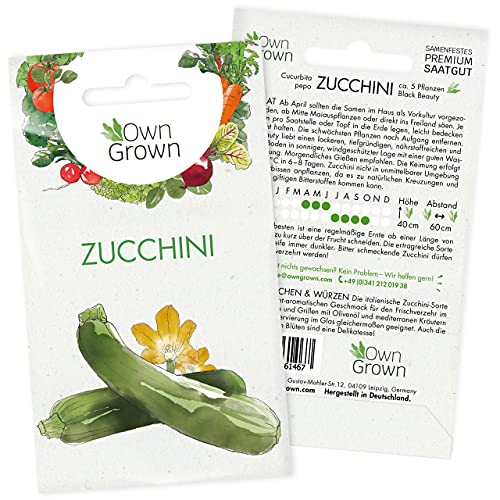 Zucchini Samen: Premium Zucchini Saatgut für die Anzucht von ca...
