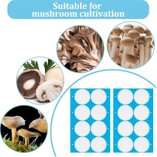 Image of GORGECRAFT 32Pcs 4 Sheet Wide Mouth Mason Jar Paper 59mm Filters Patch Tape Sticker Synthetic Self Adhesive Filter Disc 0.3μm for Mushroom Cultivation Jar Lids Mason Jars
