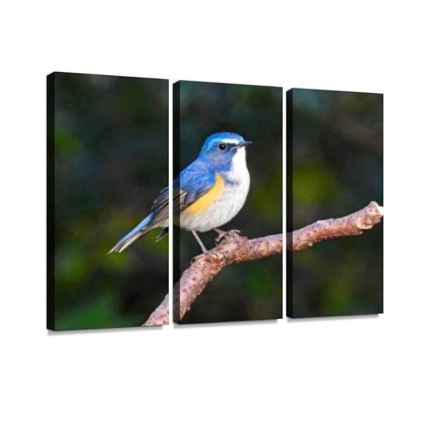 Amazon.co.jp: ルリビタキ 青い鳥 瑠璃色 ラピスラズリ 宝石 森