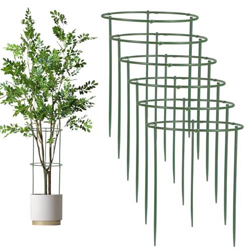 Wanmu 36 estacas de soporte para plantas semicirculares, apilables, soporte de flores de jardín de 6 niveles, jaula para plantas de interior para tomate, monstera, peonía, hortensias, plantas