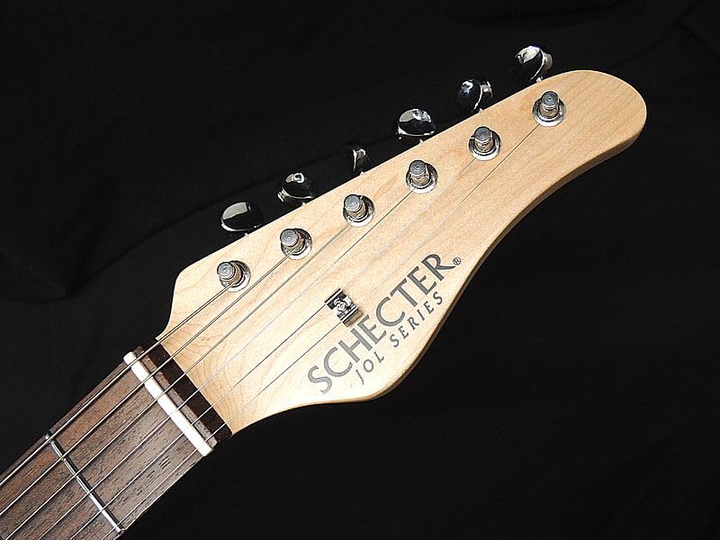 最終値下げシェクター　ol-pt22 テレキャス SCHECTER OL-PT-22 PBT/R エレキギター(シェクター コスト