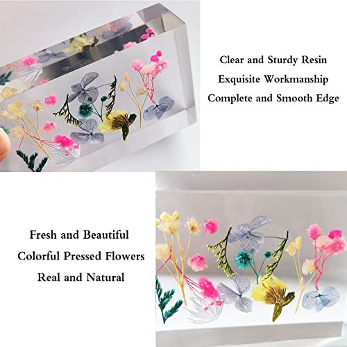 Ptgmh Flower Paper Weights For Office Bulk Resin Paperweight For Desk Square Paperweights Decorative With Real Dried Flower Specimens Paperweight Cube Ornament (Colorful) #TOP2