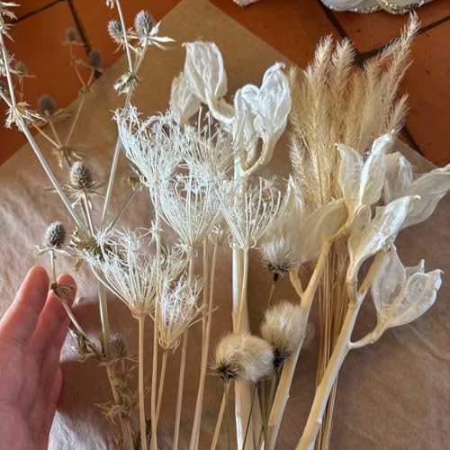 ԍށ@zCg@hCt[T@XbO AWg u[Pp