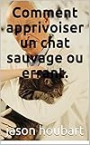 Comment apprivoiser un chat sauvage ou errant.: Comment apprivoiser un chat sauvage ou errant.