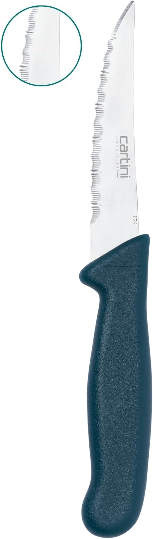 Godrej Cartini Knife | Steak Knife (Teal) | Micro Serrated Knife for Finer Cutting of Meat, Poultry | Chaku for Home, Restaurant & Professional Chef Use | SS Blade | Dishwasher Safe | 1 Yr Warranty