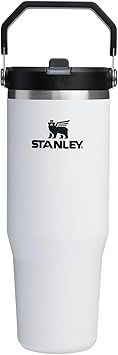 STANLEY IceFlow 2.0 Flip Straw Tumbler with Handle 30 oz | Twist On Lid and Flip Up Straw | Leakproof Water Bottle | Insulated Stainless Steel | BPA-Free | Chalk