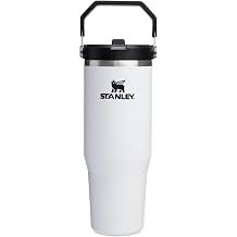 STANLEY IceFlow 2.0 Flip Straw Tumbler, 30 oz, Chalk