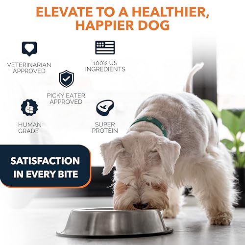 Image of Sensitive Stomach Dog Food - 100% Human Grade Air Dried Dog Food - All Natural - USA Grass Fed Beef - Limited Ingredient, Dehydrated - Complete Meal or Topper - Beef - Sample Bag