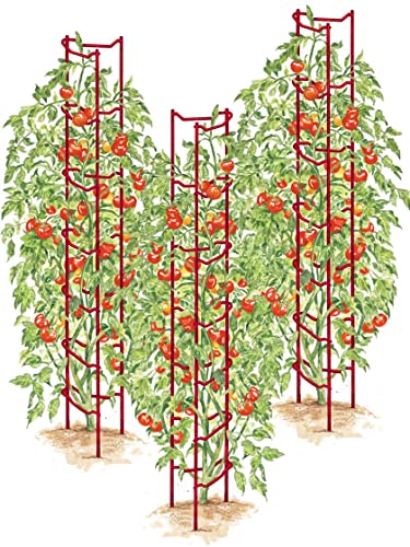 Gardener's Supply Company Red Tomato Ladders | Heavy Gauge Sturdy Garden Plants Support for Tomatoes and Other Climbing Plants | No Assembly Needed | Set of 3