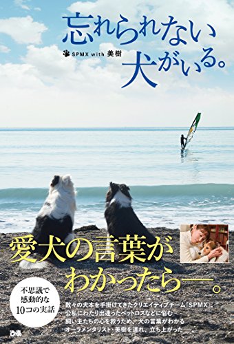 忘れられない犬がいる。