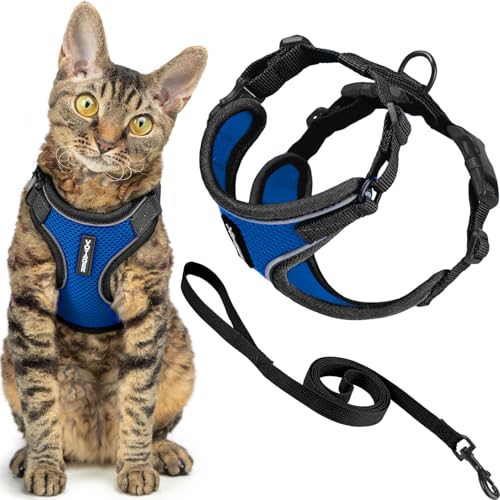 Image of Voyager Escape-Proof Step-in Lock Cat Harness & 5ft Neoprene-Handle Leash Set All-Weather Mesh with Reflective Stitching for Small to Large Cats by Best Pet Supplies, Black Trim-Royal Blue (327), XXS