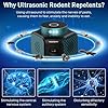 Ultrasonic Repellent For Rodent 360 Mice Repellent Indoor Rat Deterrent | INDIA