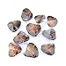 Oyster Pearl Freshwater Cultured for Jewelry Making Pearls Inside Oyster with Necklace with 7-8 mm Oval Oyster Pearl Bulk Color 10 PCS
