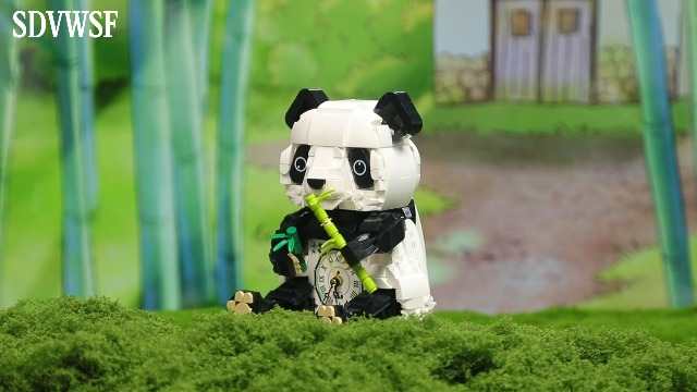 Amazon.com: SDVWSF 3 in 1 Panda Building Block Set 853PCS Cute
