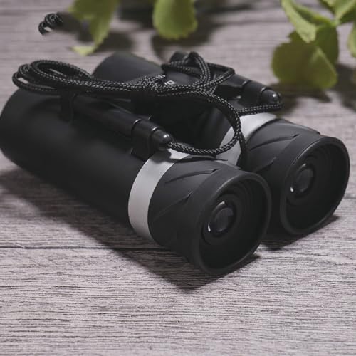 Fixed Binoculars Factory miniatura 2