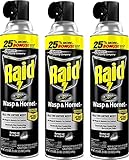 Raid Wasp & Hornet Killer Spray, 14 OZ (Pack - 3)