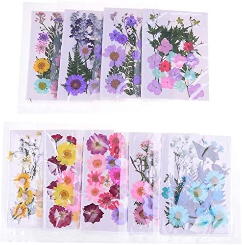 PULABOVárias flores secas prensadas para artesanato scrapbook resina joias artesanato faz capa de te