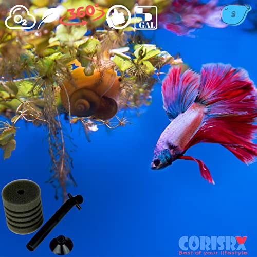 Image of Aquarium Sponge Filter Luxury Set for Breeding Fry, Fish Tank Fine Small Sponge Filter up to 10 Gallon, Fish Tank Mini Bio Foam Filter for Betta Shrimp (5x Replacement Sponge for Mini Sponge Filter)