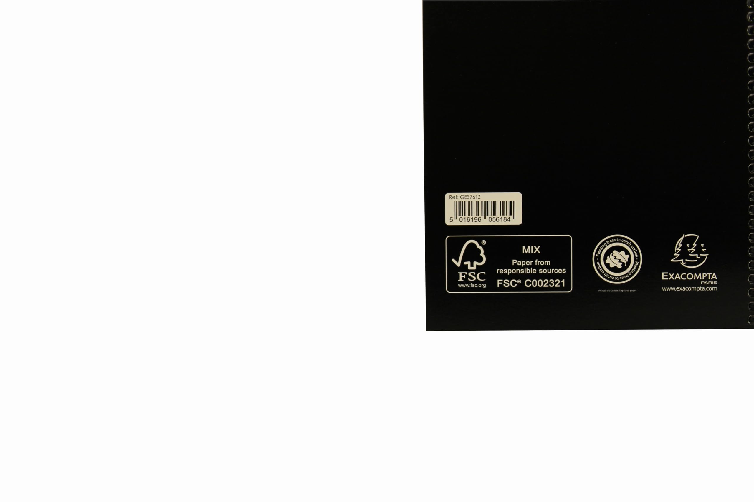 Exacompta - Ref GES761Z - Guildhall - Essentials Wire bound Single Cash Account Book, A5, 148 x 210mm, 192 Pages of 80gsm Pre-Printed Paper - Receipts, Expenses, Summaries