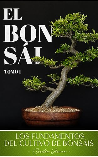 EL BONSÁI: LOS FUNDAMENTOS DEL CULTIVO DE BONSÁIS