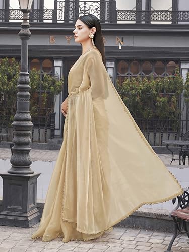 Womanista Women's Beige Colored Jimy Cho Saree With Handwork Border(Ti6847_Beige_Onesize)