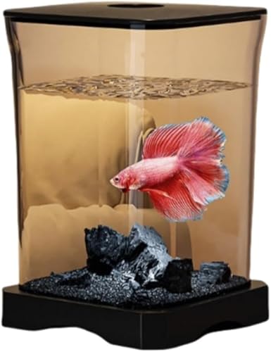 ^A1.4LRpNgLbgAxݒ20-30°CALEDCgtAȒPȐAȒPZbgAbvƃeiXAX^[^[^NɍœK (A)