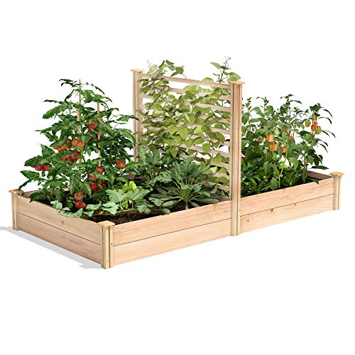 Greenes Fence Premium Cedar Raised Garden Bed with Trellis, 4' x 8' x 11' - Made in USA with North American Cedar