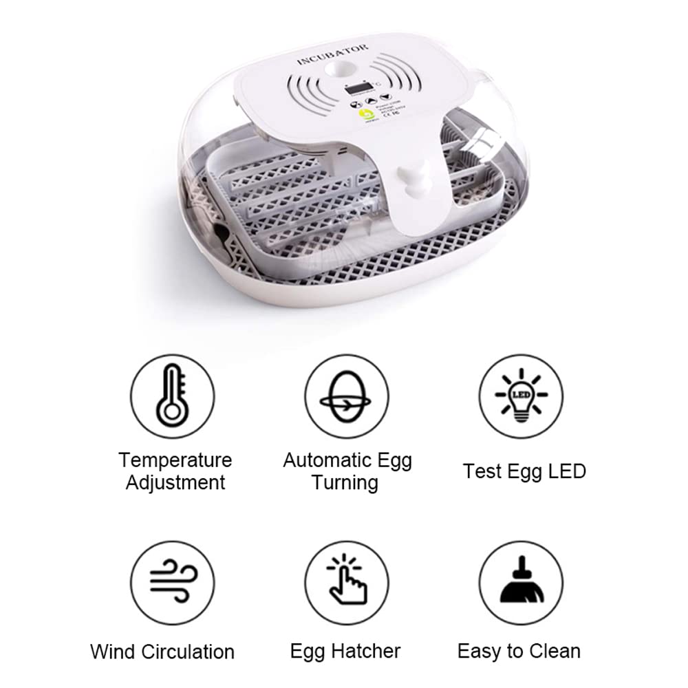 Ei-Inkubator zum Schlüpfen mit automatischer Eierdrehung, LED-Ei-Testlampe, klarer Deckel, leicht zu waschen, 16 Eier, Geflügelbrüter, Bauernhof, Vogel, Wachtel, Huhn, Geflügelfarm, Brüter, W