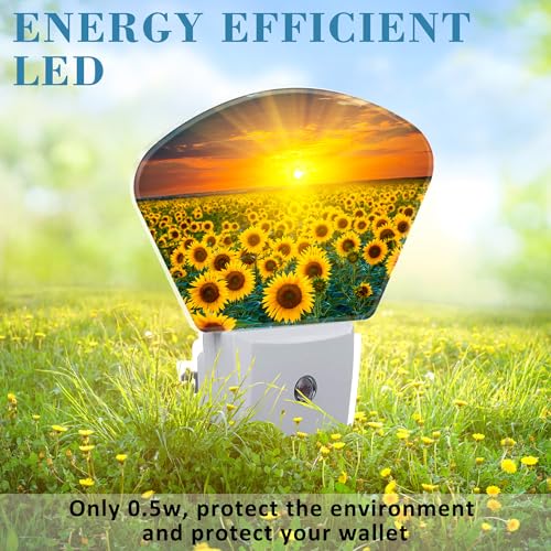 Image of Sunflowers and Sunrise Night Light Plug into Wall, Sunflower Fields Night Light with Dusk to Dawn Sensor for Kid Girls Boys Women Men Room, Hallway, Kitchen, Bathroom, Stairs Decor