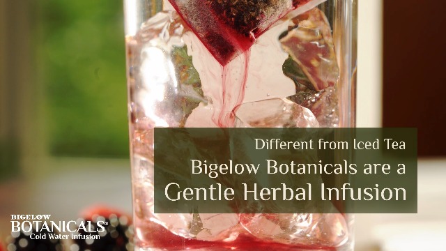 Watch Bigelow Botanicals Cold Water Infusions on Amazon Live