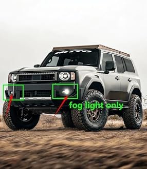 H11/H9 Light Bulb, 33000LM 900% Super Brighter, 1:1 Halogen Size H11/H8/H16 Fog Light Bulbs, 60000Hrs Lifespan, 6500K White, Plug and Play, Pack of 2