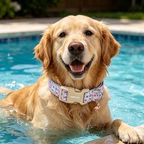 Image of ARING PET Summer Dog Collar, Cute Flamingo Doggy Collars for Puppy Small Medium Large Boy Girl Dogs, for Daily Photos Beach Walking Hiking Picnic-XL