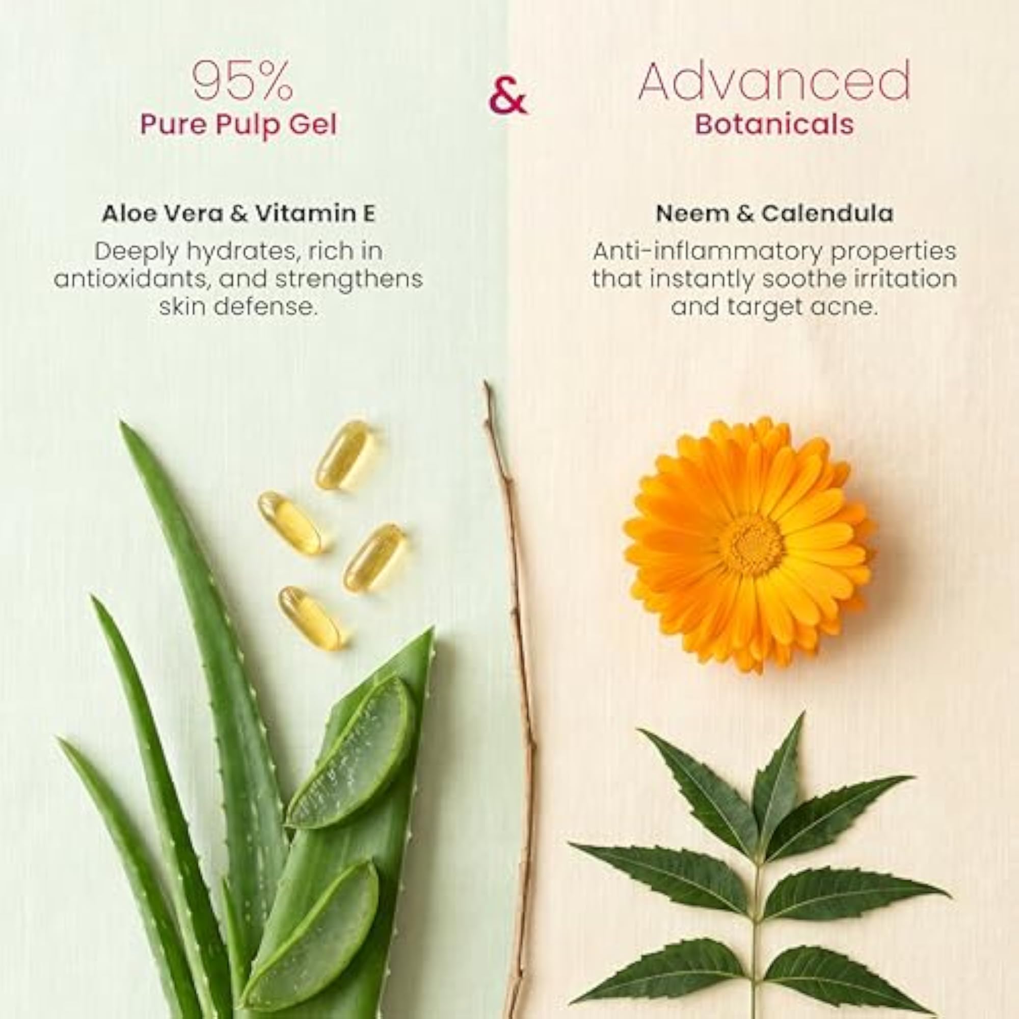 Acnoaid Facewash & Aloe Vera Gel Combo Pack, Vegan Skincare