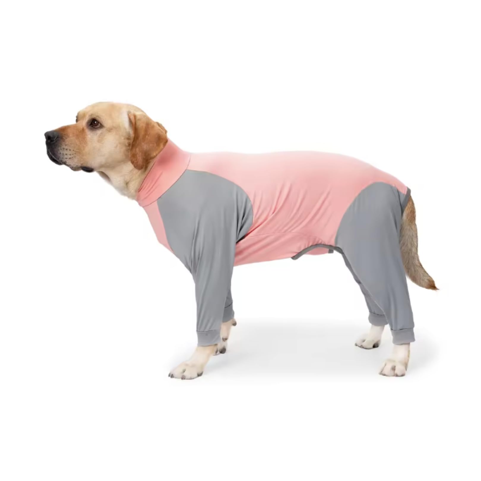 Combinaison pour chien anti-poils rose pour protéger votre canapé et vos trajets en voiture