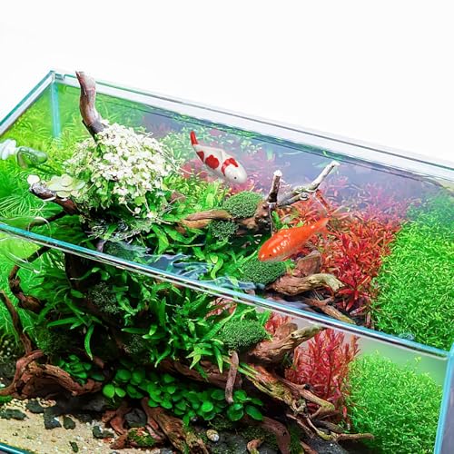 Image of Floating Fish Ceramic Koi Fish for Pond Fountain Garden Decor (4)