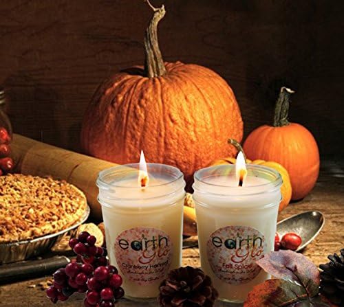 EarthGlo Winter Candles - Scented Soy Candle Set In Gift Box - Fall Spice And Cranberry Harvest - Perfect Holiday Scents With Pumpkin And Cinnamon - Perfect Soy Candles For Fall And Christmas