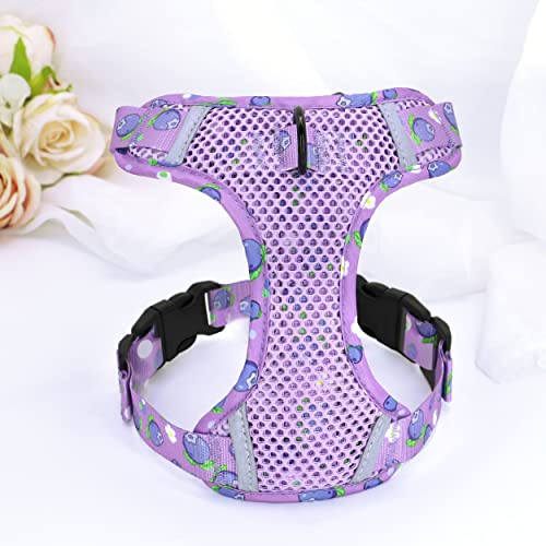 Pet Artist Reflective Cute Girl Dog Vest Harness With Double Leash Hooks,Step-In Breathable Air Mesh Puppy Cat Harness Vest For Small Medium Dog Cat Kitten Purple M #TOP6