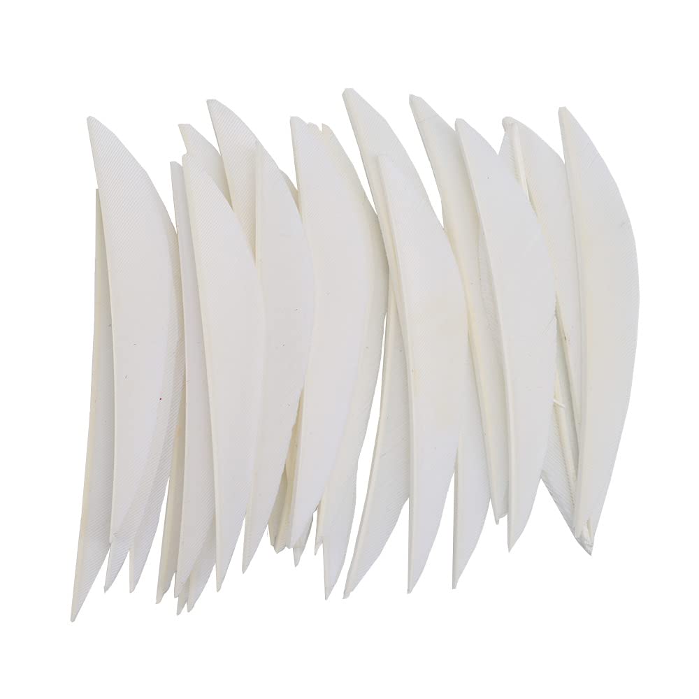 ACCMOS 3" Archery Fletching Banane Shape Arrow Feathers Hunting Arrow Wing Turkey Feather DIY Arrow Accessory 50pc (White)