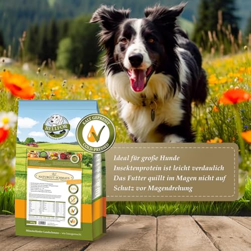 Bellfor Naturgut-Schmaus Hochwertiges Kaltgepresstes Hypoallergenes Trockenfutter für Hunde mit Insekten Getreidefrei Optimal für Ernährungssensible Hunde (4 kg)