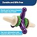 PetSafe Busy Buddy Jack - Keeps Dog Busy - Includes Treats Refill - Treat Holding Dog Toy - Helps Clean Teeth - Durable Rubber - Strong Chewers - Dishwasher Safe - Medium - Purple