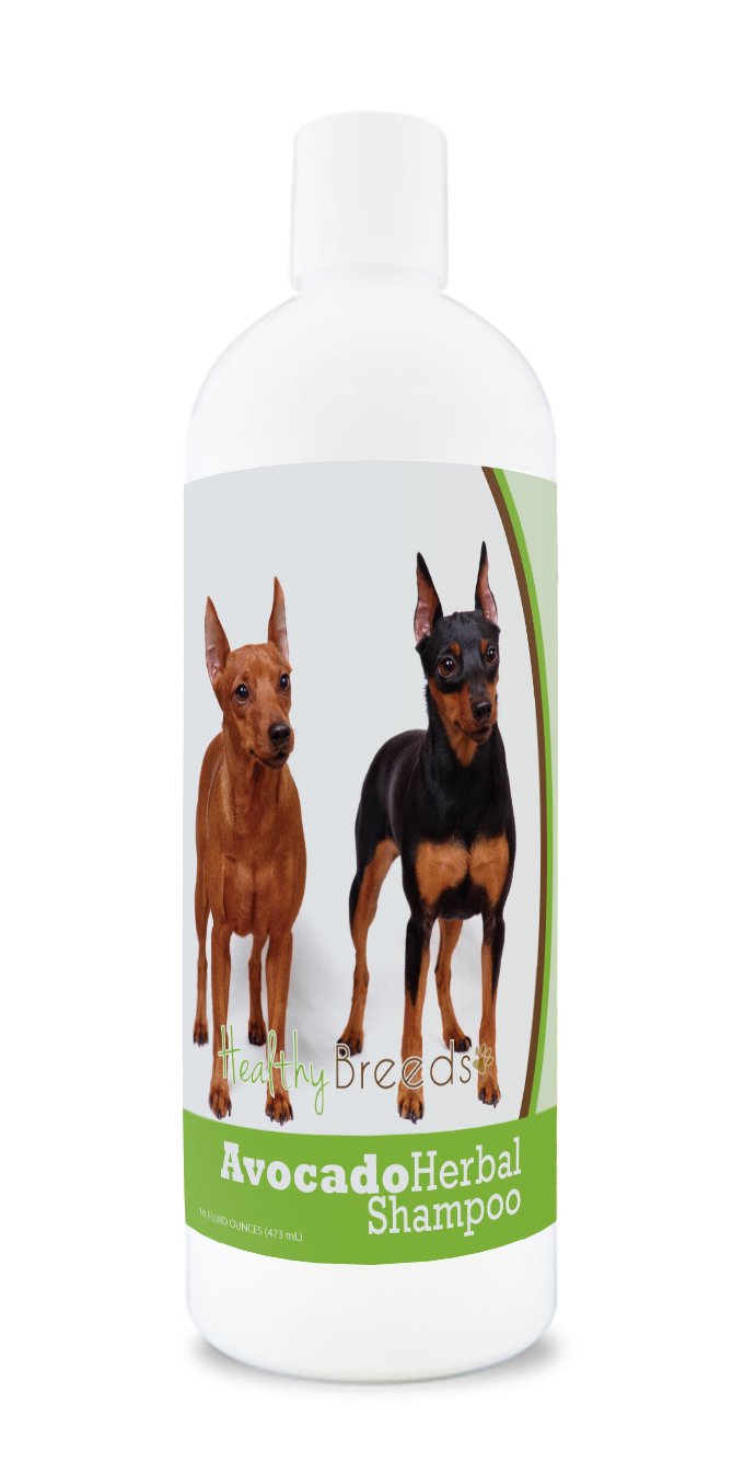 Healthy Breeds Labrador Retriever Avocado Herbal Dog Shampoo 16 oz — view 22