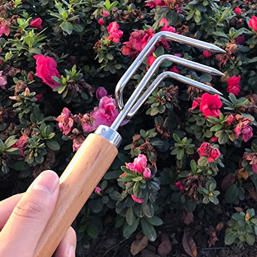 Juego de 2 rastrillos de mano ergonómicos para jardín miniatura 3