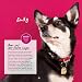 Backen für Hunde - Die besten Rezepte von Dogs Deli
