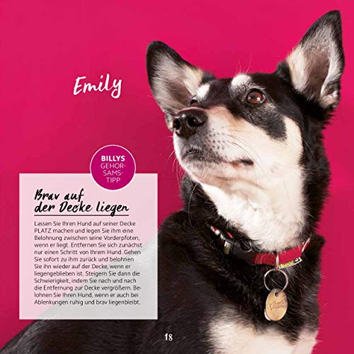 Backen für Hunde - Die besten Rezepte von Dogs Deli