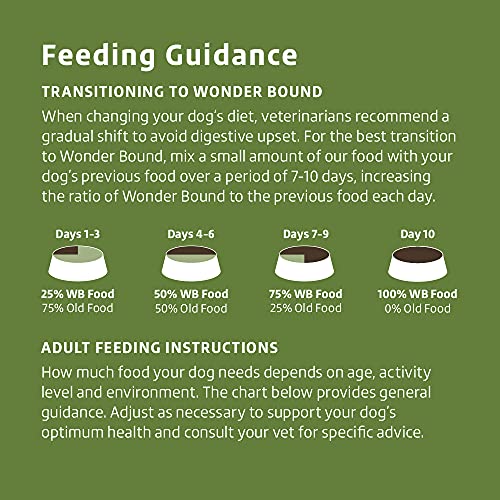Amazon Brand - Wonder Bound High Protein, Adult Dry Dog Food - Lamb & Brown Rice Recipe, 30 lb bag - Image 7