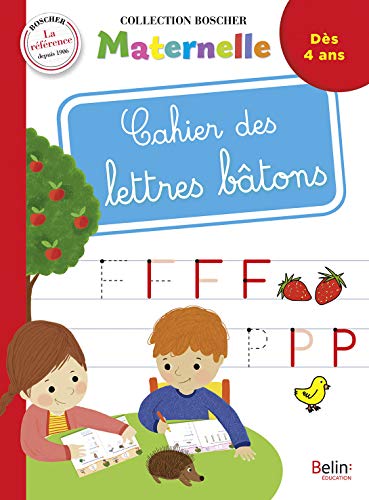 Télécharger Cahier des lettres bâton Francais PDF