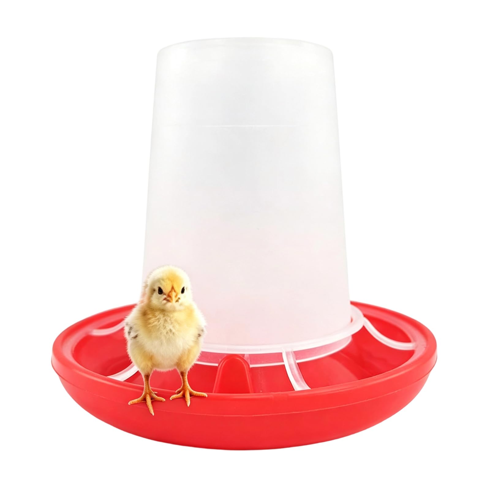 View 1 of 1Pc Red Chick Feeder Waterer 0.35Lbs Chicken Feeder 5.4Ounce Chicken Waterer Birds Poultry Feeding Equipment Kit Chick Waterer and Feeder Small Chick,Poultry Feeding Supplies