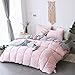 KASENTEX Reversible No-Shrink King Size Comforter Set and 2 Shams - Down Alternative Duvet Insert with Corner Ties, Lightweight, Ultra Soft, Machine Washable, All-Season (Pink Potpourri/Silver)